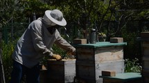 beekeeper at work 