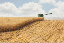 Tractor cutting wheat field