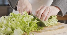 Chef knife cutting green lettuce - close up