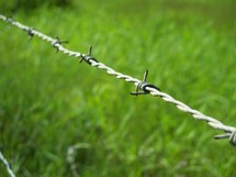 Barbed wire fence in front of grass.
