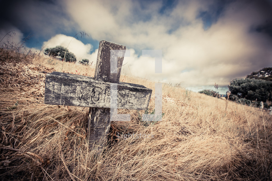 cross on a tombstone through tall grass