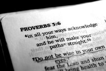Proverbs 3:6 