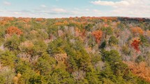 aerial view over an autumn forest 