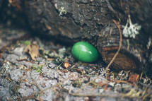 Easter egg on tree back.