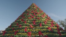 Giant Christmas Tree Decorated with Red and Golden Ribbons on Day Light	
