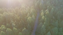 Sunset aerial view over a road in the Santa Cruz Mountains in California.