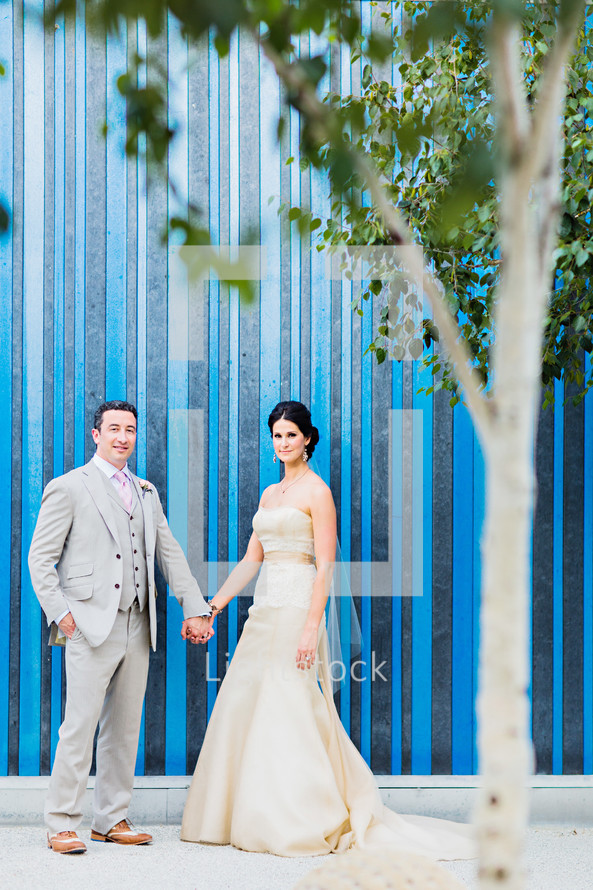 A bride and groom holding hands wedding blue wall stripes  trees