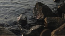 water lapping over rocks on a shore 