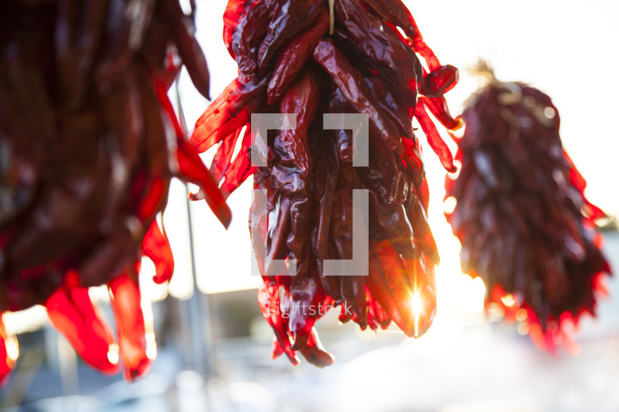 chili peppers drying