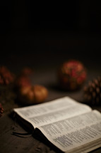A Bible and Fall decor