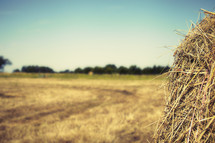 A closeup view of a hay bale