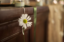 white daisy hanging on a ribbon