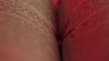 Bible and Blood