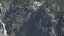 Bird Eagle Fly near Sentinel Falls a long series of cascades descending into Yosemite Valley alongside Sentinel Rock