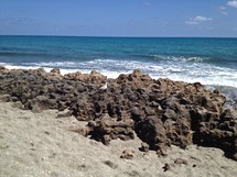 rocks on a beach shore by the ocean