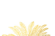gold palm fronds 