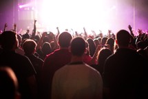 audience at a concert