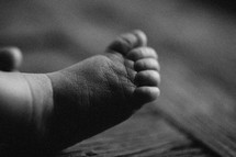 foot of a newborn infant