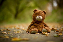 old teddy bear in leaves on a sidewalk
