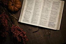 Bible laying open on table with small pumpkin and berry branches.