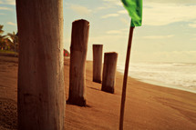 wood pilings on a beach and a green flag