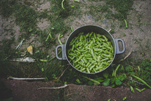 snapped green beans in a pot 