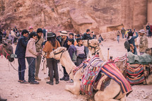people with camels and donkeys in a desert 