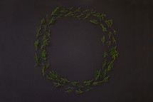 juniper pine in wreath circle 