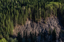a rocky ridge and forest from above