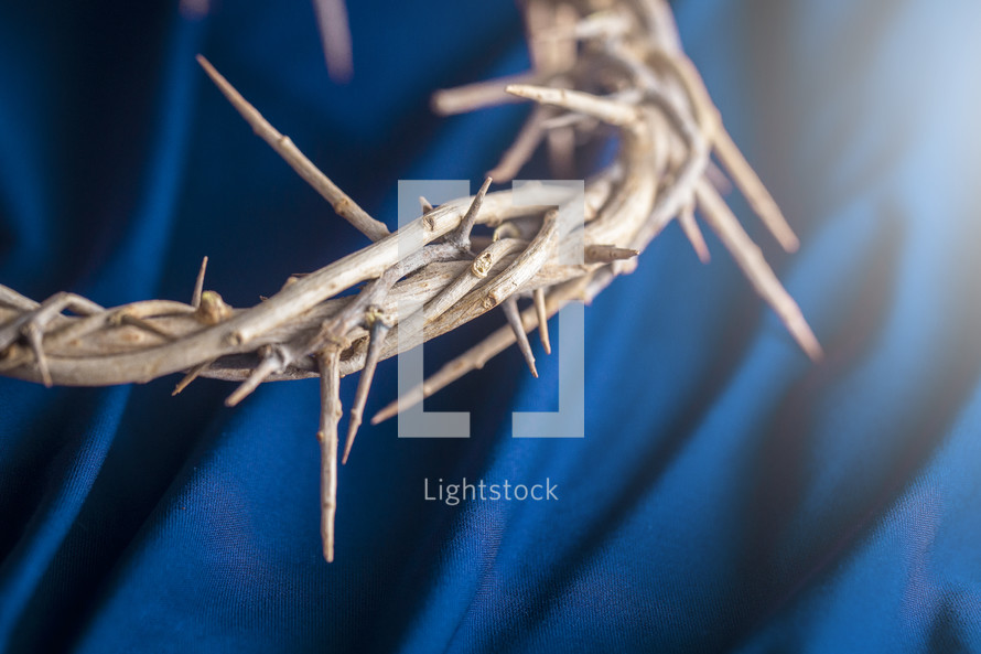 The Crown of Thorns that Jesus Wore on a Blue Background
