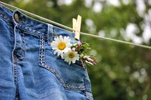 jeans on a clotheslines and flowers in a pocket 