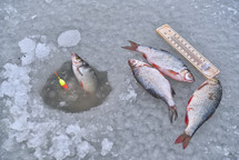 Ice hole fishing. Winter fishing in freezing cold weather concept