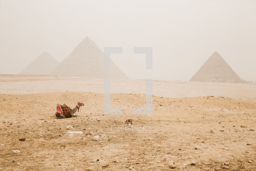 pyramids in Giza, Egypt 