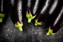 Fresh homemade eggplant on the table. On a wooden background. High quality photo