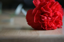 Carnation flower on a butcher block table.