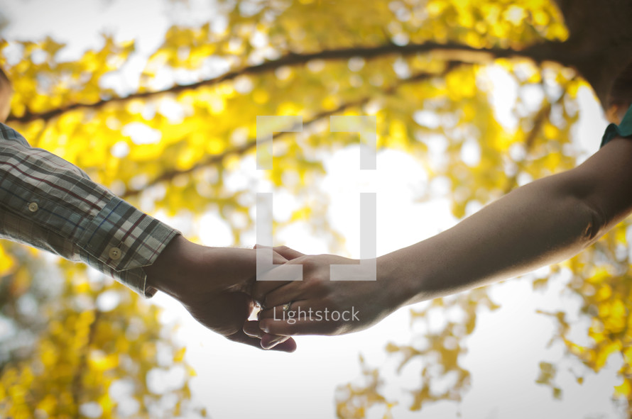 holding hands and fall leaves 