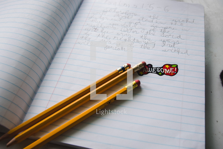 pencils on the pages of a notebook 