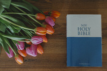 tulips on a desk and Bible 