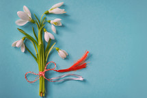 Cute Snowdrops Bouquet With Flower Stems