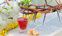 crown of thorns, spring flowers, communion elements on the pages of a Bible 