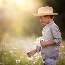 a boy picking daisies 