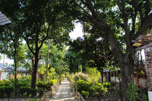 path between homes in the jungles 
