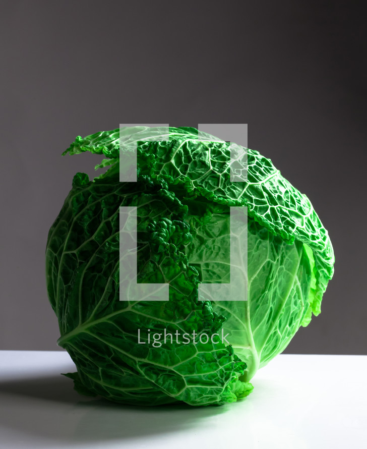 Fresh savoy cabbage isolated on a gray background