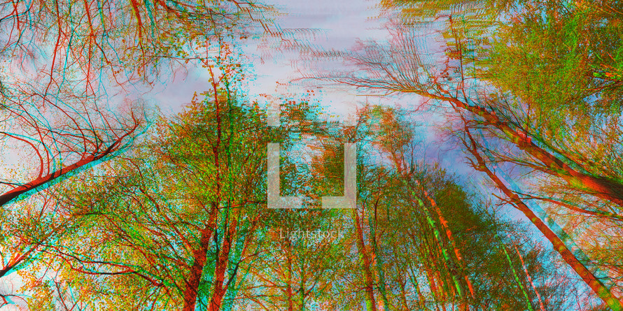 glitch art trees in a forest 