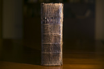 spine of an old leather Bible 