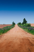 dirt road and plowed fields 