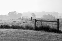 fence line in a pasture