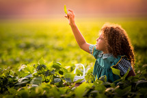 a child picking peas 