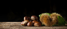 Chestnuts and chestnut bur on wooden table and black background with copy space.