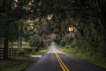 rural road and Spanish moss 